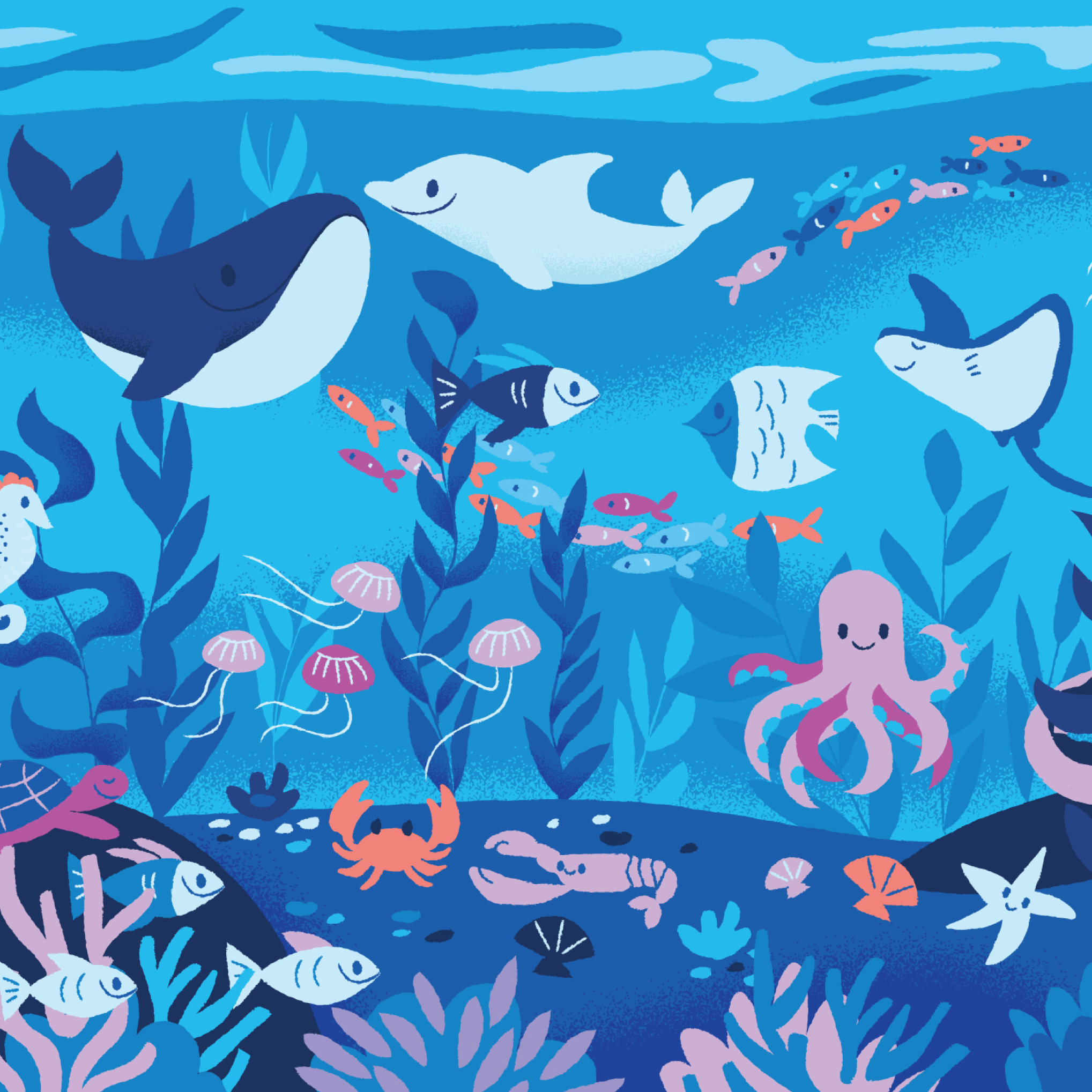 The Big Book of Textures, underwater spread illustrated by Anna Hurley